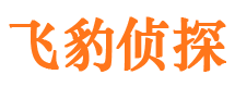 磐安市侦探调查公司